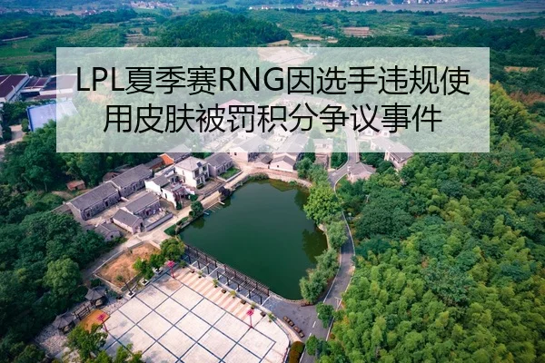 LPL夏季赛RNG因选手违规使用皮肤被罚积分争议事件